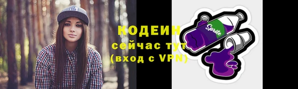 тгк Аша